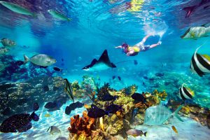 Best family activities in the Riviera Maya: fun for all ages
