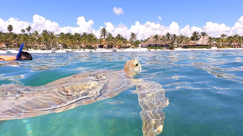 Tour Sian Ka’an - Biosphere Reserve