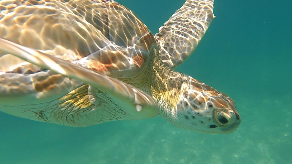 Tour Sian Ka’an - Biosphere Reserve