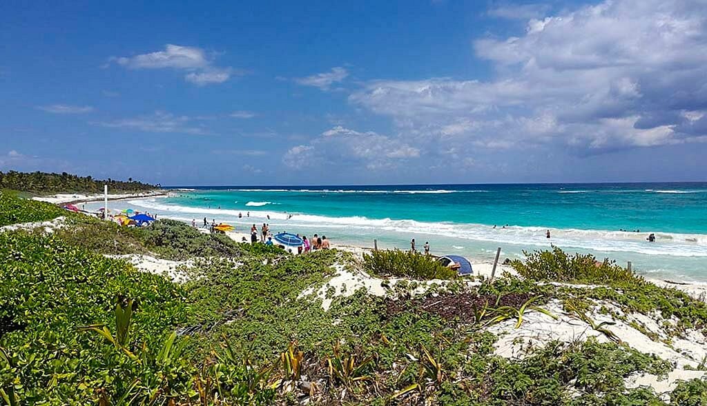 Tulum Turtles